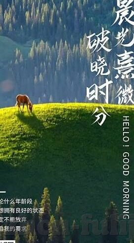 91麻豆视频-揭示91麻豆视频，网络文化与隐私边界的微妙探索