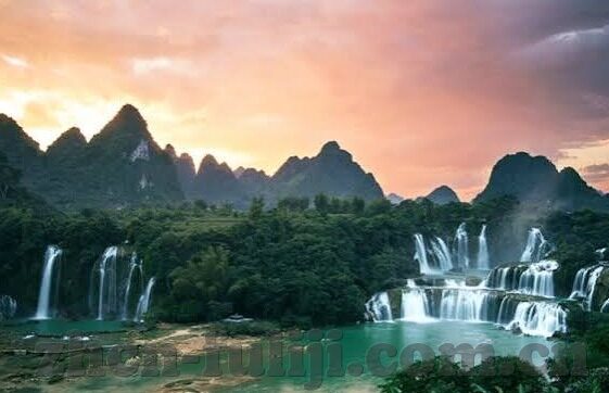 大象传媒回家地址-回归自然，大象传媒的回家之旅