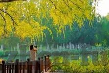 二人台光棍哭妻-二人台光棍哭妻，一曲人间悲欢的深情演绎