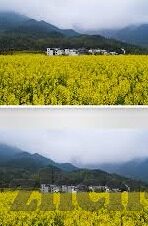 我要看成人免费视频-探索成人内容，理性边界与个人选择